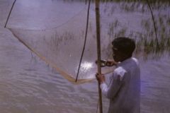 La pesca nei ruscelli, nelle risaie e sui fiumi